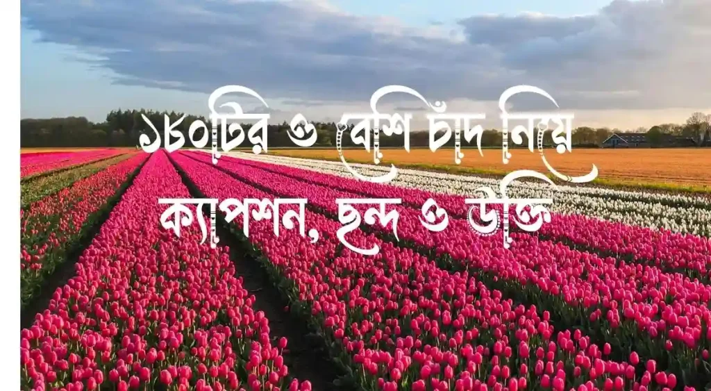 ১৮০+ চাঁদ নিয়ে ক্যাপশন, ছন্দ ও উক্তি, স্বপ্ন নিয়ে উক্তি