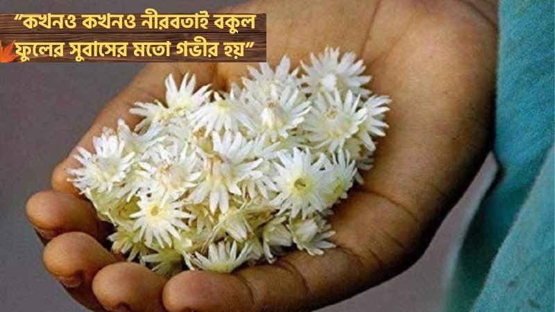 ৫০টি বকুল ফুল নিয়ে রোমান্টিক ক্যাপশন, উক্তি ও কবিতা দেখুন, pahar caption