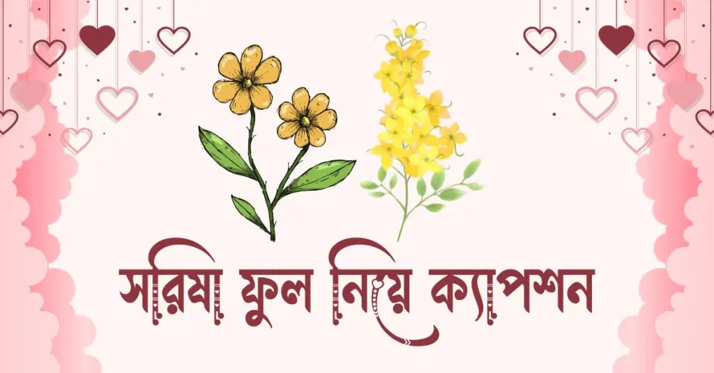৬০+ সরিষা ফুল নিয়ে ক্যাপশন ও কবিতা, শুভ সন্ধ্যা শুভেচ্ছা