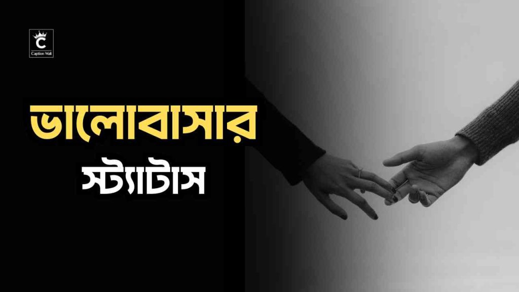 ভালোবাসার স্ট্যাটাস: ১৯৭১টি+ সেরা কালেকশন, ফেসবুক আইডির নাম