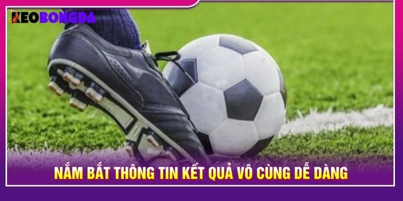 Football Results Today: Check Latest Scores and Match Outcomes, শাপলা ফুল