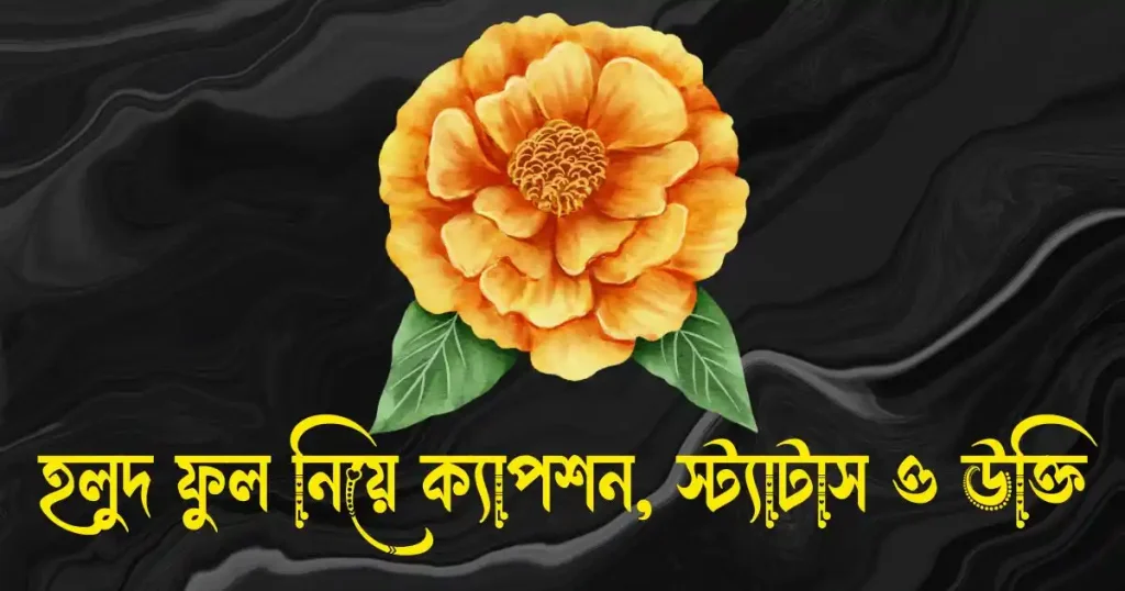 হলুদ ফুল নিয়ে ক্যাপশন, স্ট্যাটাস, উক্তি, ছন্দ ও কবিতা, chokh niye caption