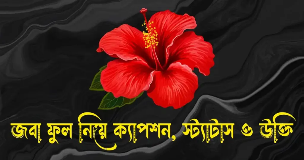 জবা ফুল নিয়ে ক্যাপশন, স্ট্যাটাস, উক্তি, ছন্দ ও কবিতা, ভালবাসার মানুষকে জন্মদিনের শুভেচ্ছা বাংলায়