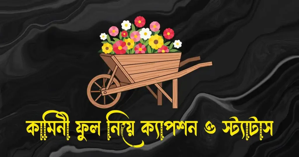 কামিনী ফুল নিয়ে ক্যাপশন, স্ট্যাটাস, উক্তি ও কবিতা, প্রিয় মানুষকে নিয়ে কিছু কথা