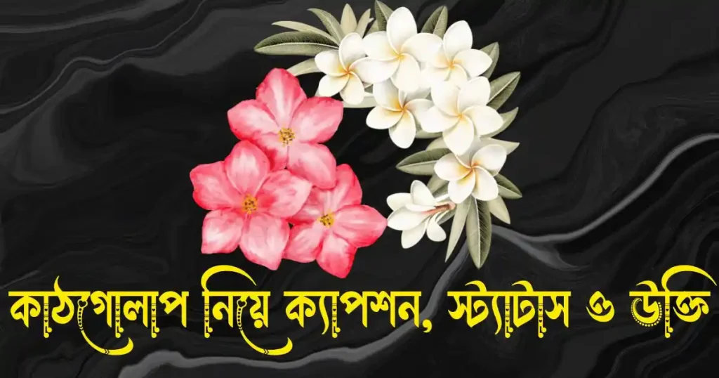 কাঠগোলাপ নিয়ে ক্যাপশন, স্ট্যাটাস, উক্তি, ছন্দ ও কবিতা, বন্ধু নিয়ে ছন্দ