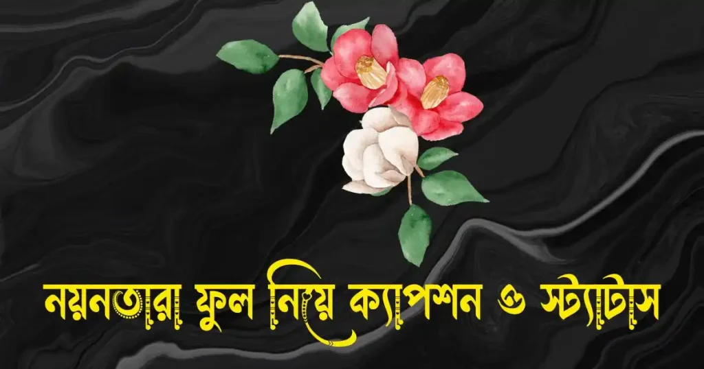 নয়নতারা ফুল নিয়ে ক্যাপশন, স্ট্যাটাস, উক্তি ও ছন্দ, বান্ধবী নিয়ে ক্যাপশন