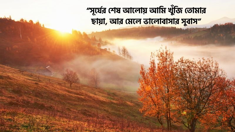 পড়ন্ত বিকেল নিয়ে রোমান্টিক ক্যাপশন, উক্তি ও কবিতা (বাছাইকৃত), মির্জা গালিব এর শায়েরি