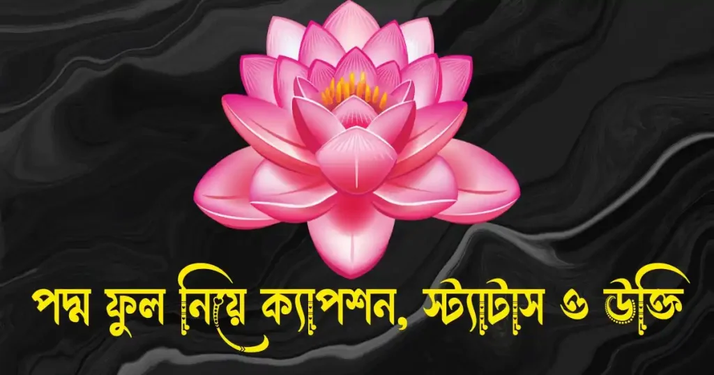 পদ্ম ফুল নিয়ে ক্যাপশন, স্ট্যাটাস, উক্তি, ছন্দ ও কবিতা, রোমান্টিক গল্প