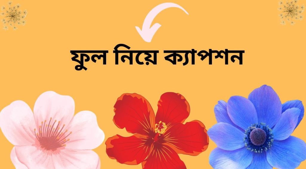 ফুল নিয়ে ক্যাপশন: 300+ ফুল নিয়ে বাংলা উক্তি, সেরা ক্যাপশন, শুভ সকাল শুভেচ্ছা বার্তা