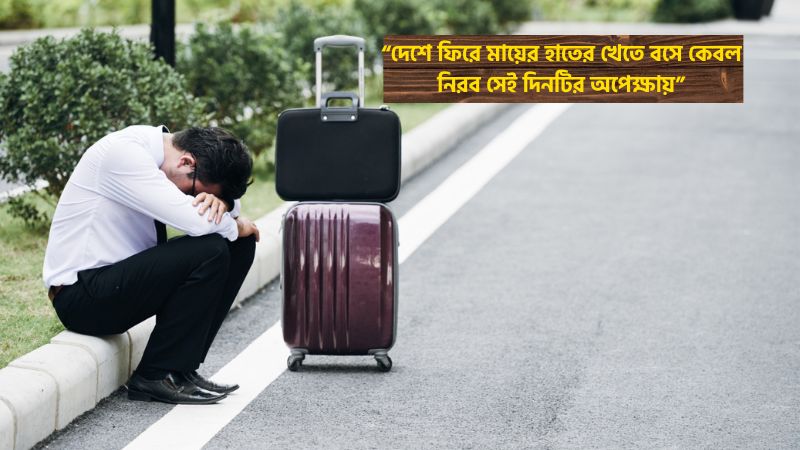 প্রবাসীদের মাকে নিয়ে সেরা ৪০টি স্ট্যাটাস এবং কষ্টের ক্যাপশন, স্বপ্নে গরু দেখলে কি হয়