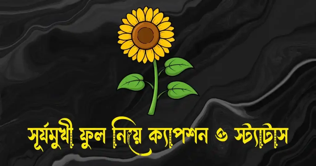 সূর্যমুখী ফুল নিয়ে ক্যাপশন, স্ট্যাটাস, উক্তি, ছন্দ ও কবিতা, জুম্মা মোবারক