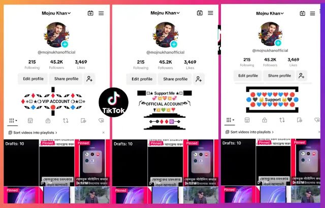 Tiktok Bio style 2026 | Tiktok bio Stylish | Tiktok bio Copy and Paste, সফলতা নিয়ে উক্তি