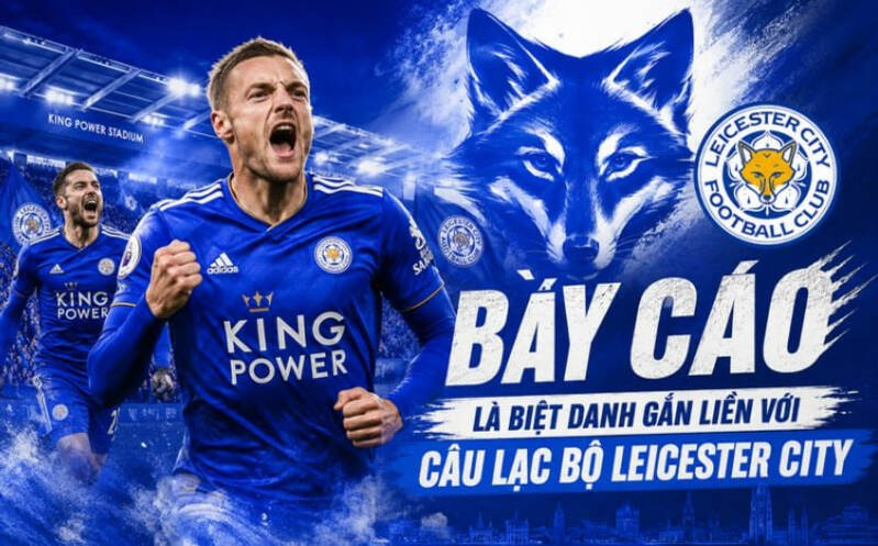 What Team Is Known as the Foxes? Decoding Leicester City’s Famous Nickname, বান্ধবীর জন্মদিনের শুভেচ্ছা স্ট্যাটাস